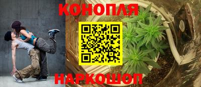 PSILOCYBIN Берёзовский