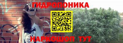 PSILOCYBIN Берёзовский