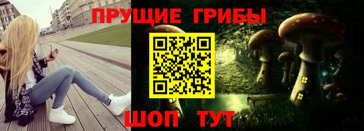 Кинель  Галлюциногенные грибы MAGIC MUSHROOMS  Вход с VPN 